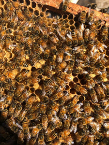 Necker's Farm 100% Raw Local Honey